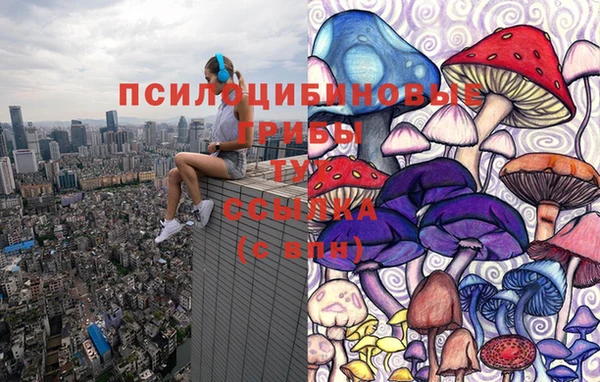 каннабис Белокуриха