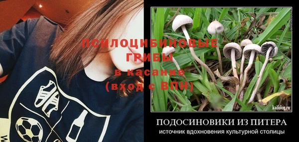 круглые Струнино