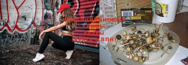 каннабис Белоозёрский