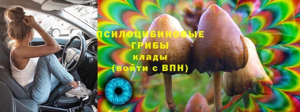 каннабис Белокуриха