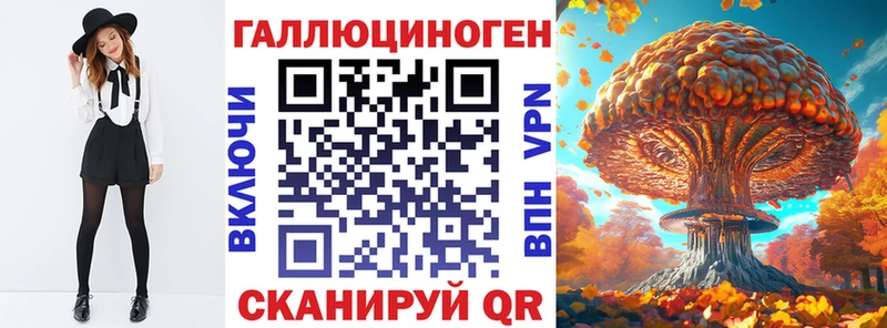 мега tor  Гусев  Галлюциногенные грибы Psilocybine cubensis 